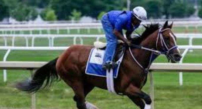 belmontstakes