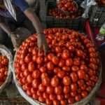 Tomatoes will be available cheaply at these places in Delhi-NCR, you will be able to buy them at Rs ...
