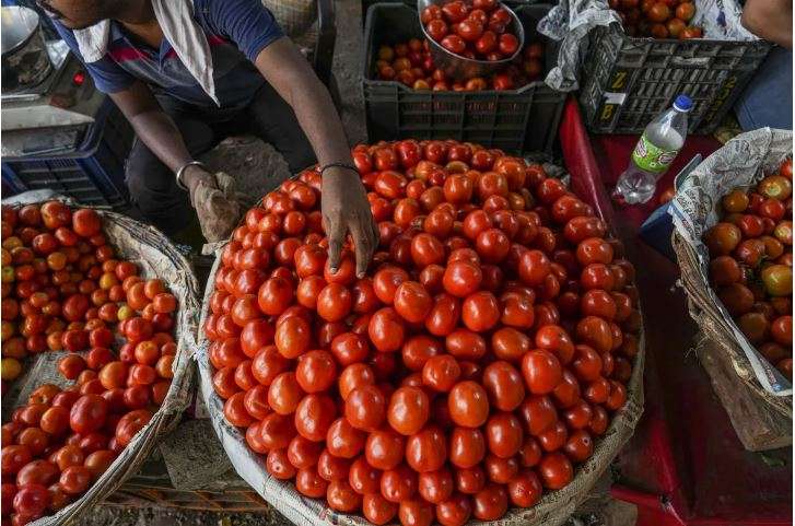 Capture tamatar