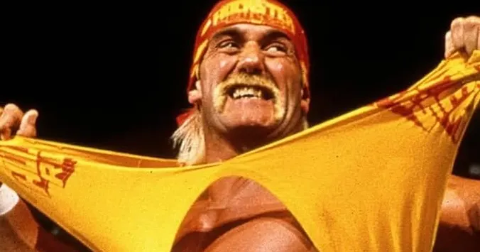 Hulk Hogan WWE