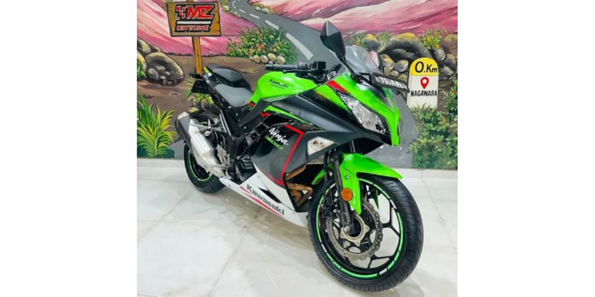 Kawasaki Ninja 300
