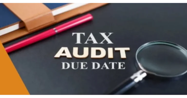 Tax Audit Report