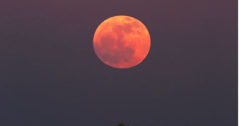 Moonrise Today