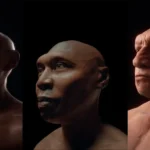 DNA
